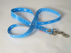 Massband-Anhänger cm/inch lang (türkis)